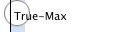 True-Max